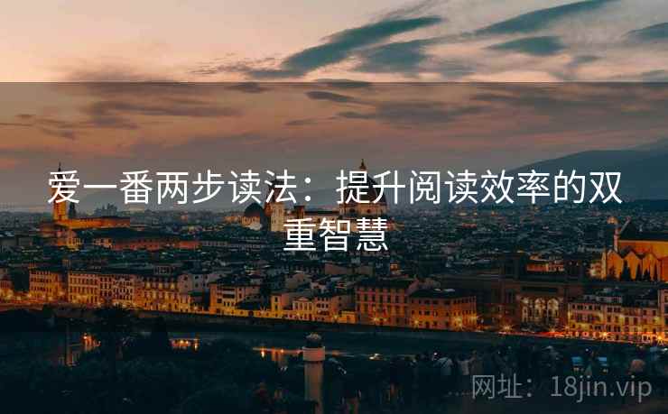 爱一番两步读法：提升阅读效率的双重智慧