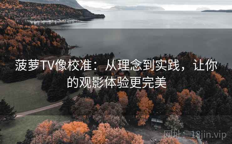 菠萝TV像校准:从理念到实践,让你的观影体验更完美